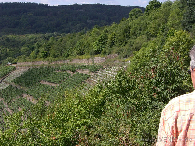 Ausflug 2008 – Bild 17