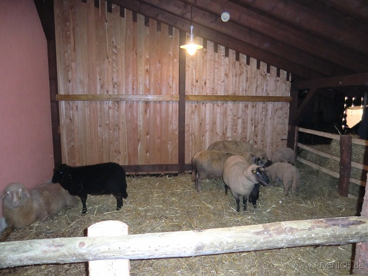 Weihnachtsmarkt 14 – Bild 35