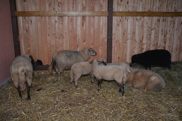 Weihnachtsmarkt 14 – Bild 68
